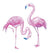 Tatouage Flamant Rose <br> Douceur