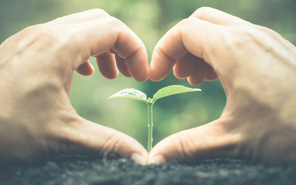 Pourquoi choisir le coton bio ?