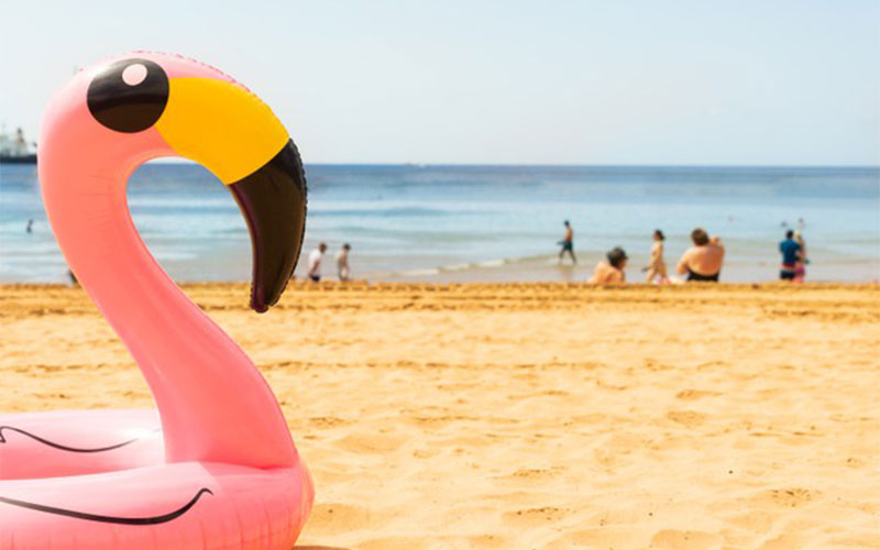 Plage avec flamant rose